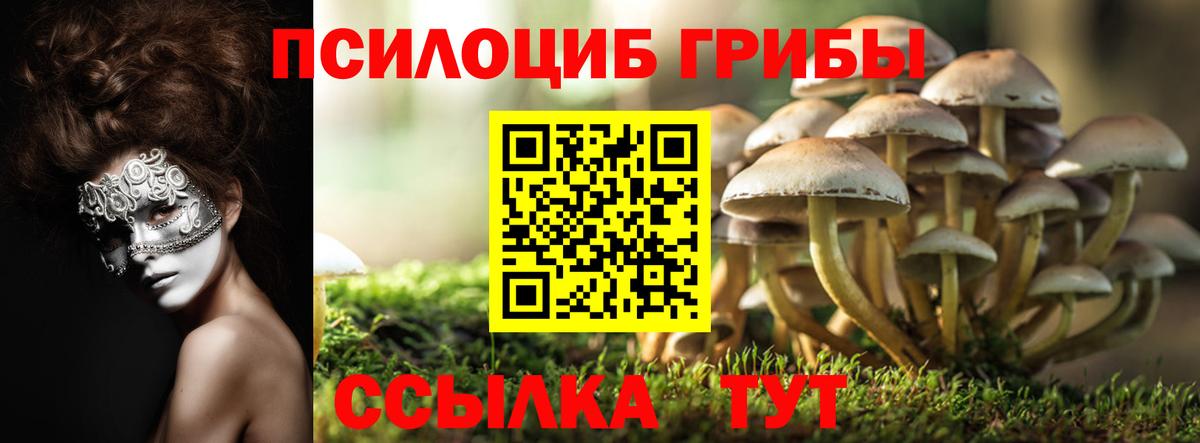 Псилоцибиновые грибы Magic Shrooms  Вход с VPN  продажа наркотиков  Тулун 
